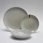 আধুনিক শৈলী সিরামিক ডিনার সেট