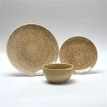 স্প্রে পয়েন্ট ডিনারওয়্যার সেট